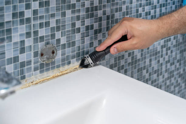 Shepherd, MI Mold Removal Company