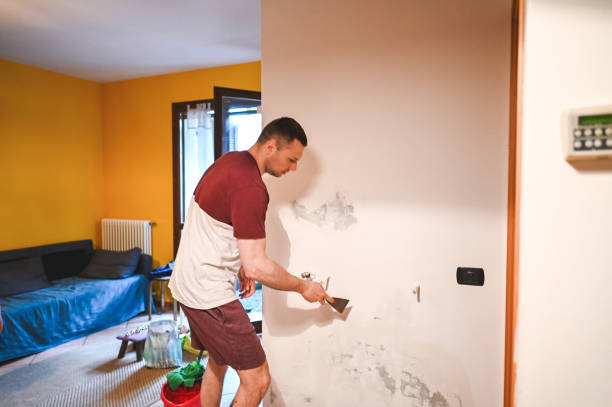 Best Toxic Mold Removal  in Shepherd, MI